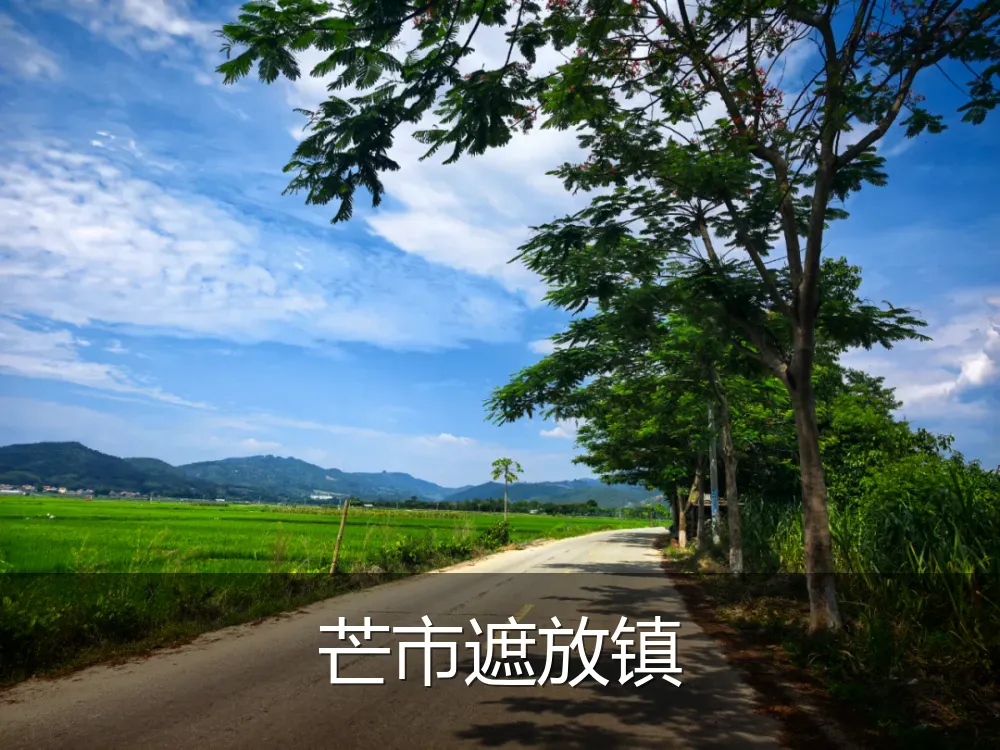 芒市遮放镇